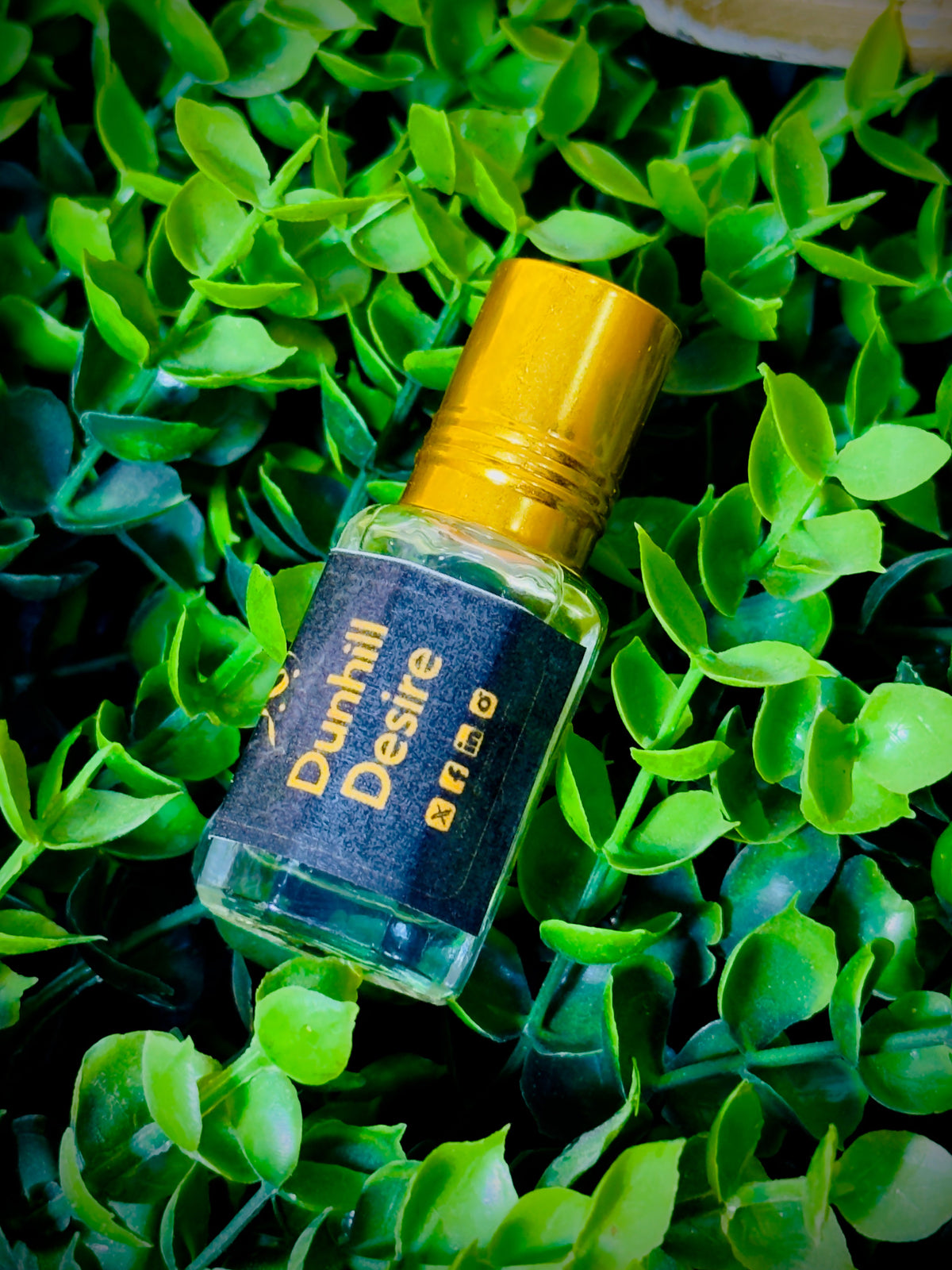 Mega Golden Deal On 7 Scents