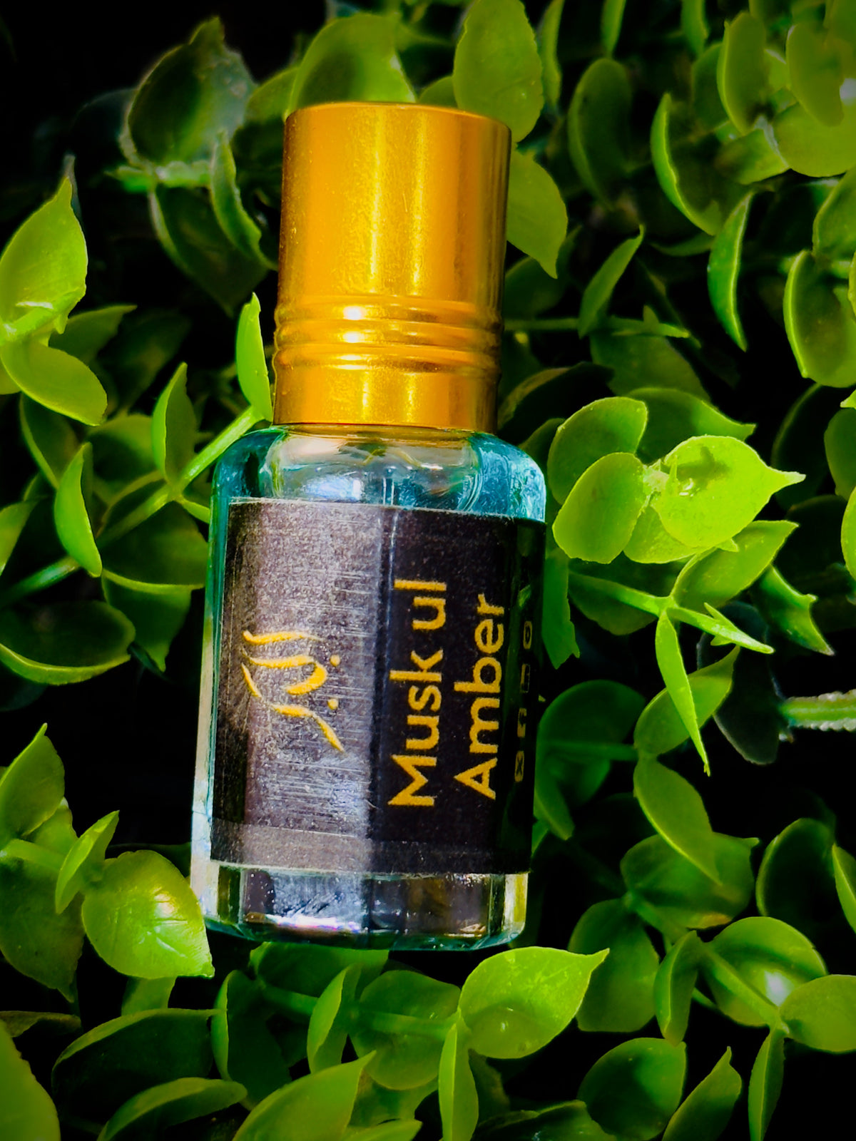 Mega Golden Deal On 7 Scents