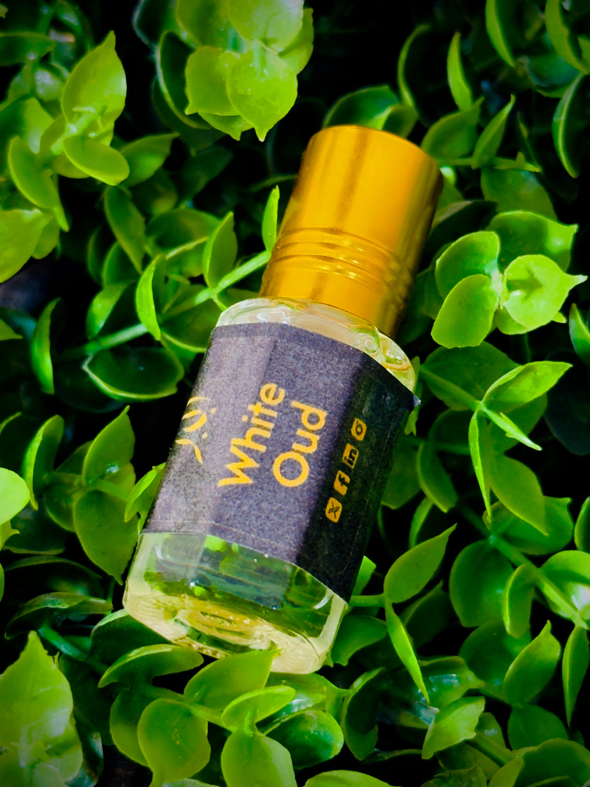 Mega Golden Deal On 7 Scents