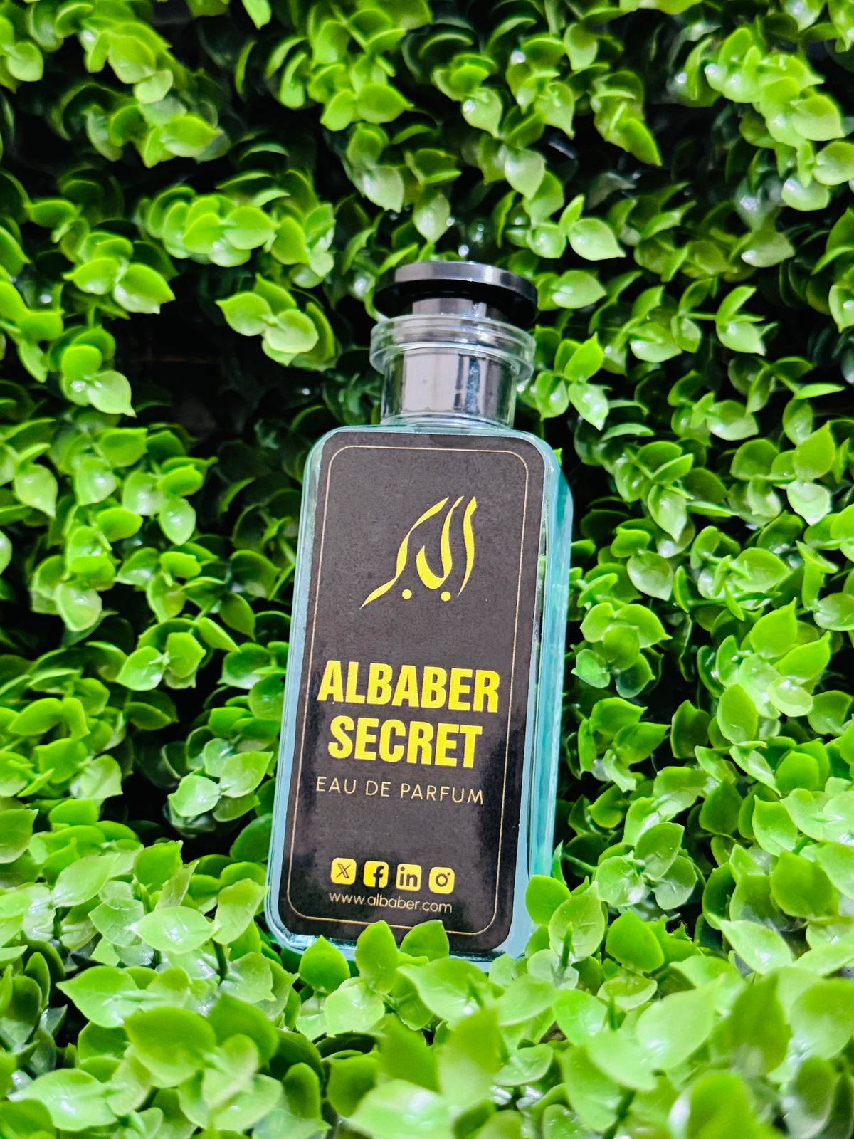 Mahy Ramzaan Golden Deal - 2 Perfumes Albaber Secret & Party Vibes